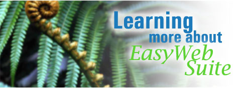 The Web Just Became A Lot Easier